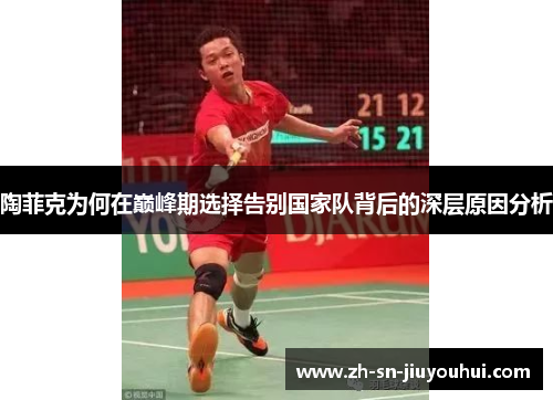 陶菲克为何在巅峰期选择告别国家队背后的深层原因分析