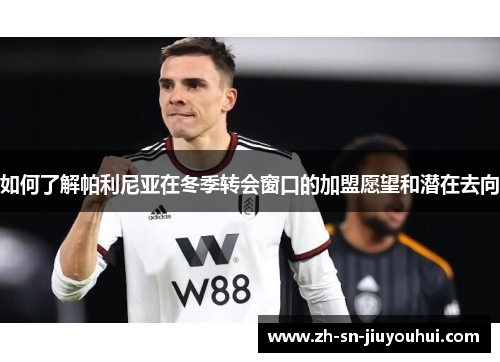 如何了解帕利尼亚在冬季转会窗口的加盟愿望和潜在去向 如何了解帕利尼亚在冬季转会窗口的加盟愿望和潜在去向