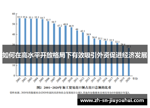 如何在高水平开放格局下有效吸引外资促进经济发展